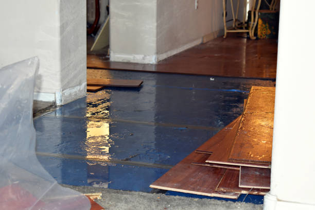 Professional Burst Pipe Cleanup technician working in Otsego, MI